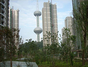 世纪城